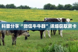 科普分享“微信牛牛群”详细获取房卡