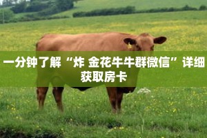一分钟了解“炸 金花牛牛群微信”详细获取房卡