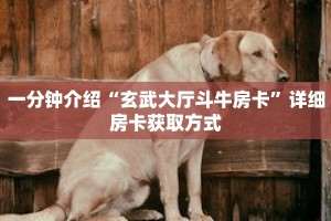 一分钟介绍“玄武大厅斗牛房卡”详细房卡获取方式