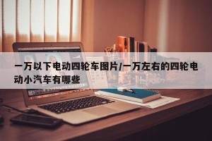 一万以下电动四轮车图片/一万左右的四轮电动小汽车有哪些