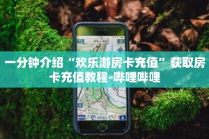 一分钟介绍“欢乐游房卡充值”获取房卡充值教程-哔哩哔哩