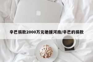 辛巴捐款2000万元驰援河南/辛巴的捐款