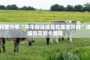 科普分享“牛牛群链接是在哪里开的”详细购买房卡教程