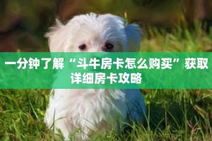 一分钟了解“斗牛房卡怎么购买”获取详细房卡攻略