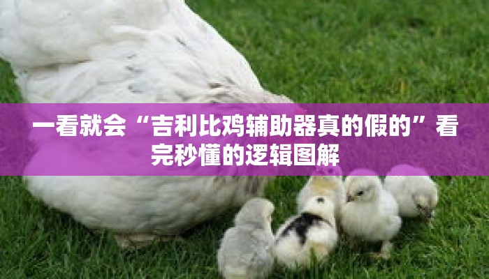 秒懂教程“新蓝鲸房卡怎么弄”详细房卡获取方式