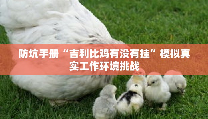防坑手册“吉利比鸡有没有挂”模拟真实工作环境挑战