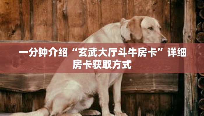 一分钟介绍“玄武大厅斗牛房卡”详细房卡获取方式 一分钟介绍“玄武大厅斗牛房卡”详细房卡获取方式