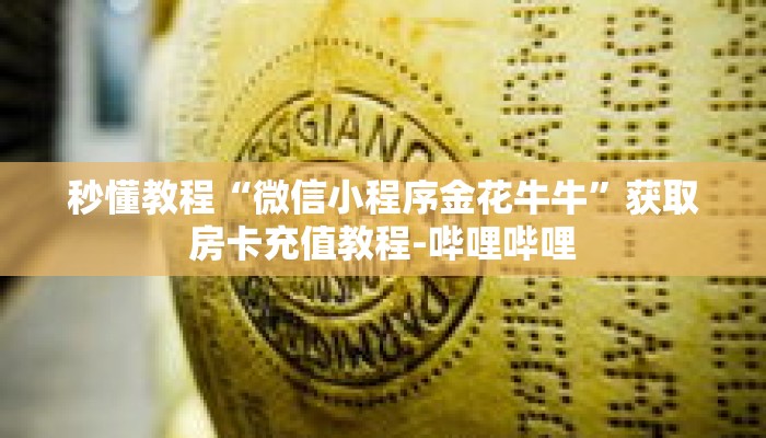 秒懂教程“微信小程序金花牛牛”获取房卡充值教程-哔哩哔哩