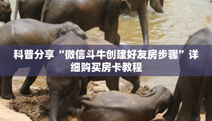 科普分享“微信斗牛创建好友房步骤”详细购买房卡教程 科普分享“微信斗牛创建好友房步骤”详细购买房卡教程