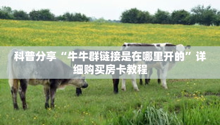 科普分享“牛牛群链接是在哪里开的”详细购买房卡教程