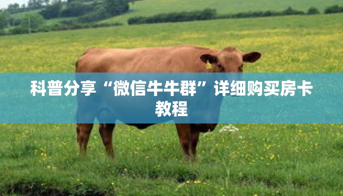 科普分享“微信牛牛群”详细购买房卡教程 科普分享“微信牛牛群”详细购买房卡教程