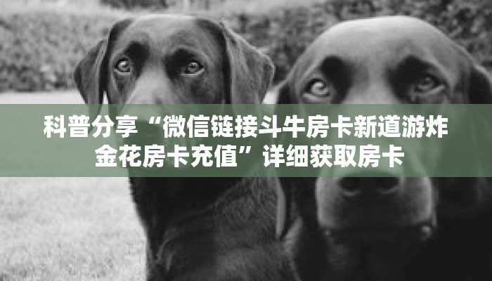科普分享“微信链接斗牛房卡新道游炸 金花房卡充值”详细获取房卡 科普分享“微信链接斗牛房卡新道游炸 金花房卡充值”详细获取房卡