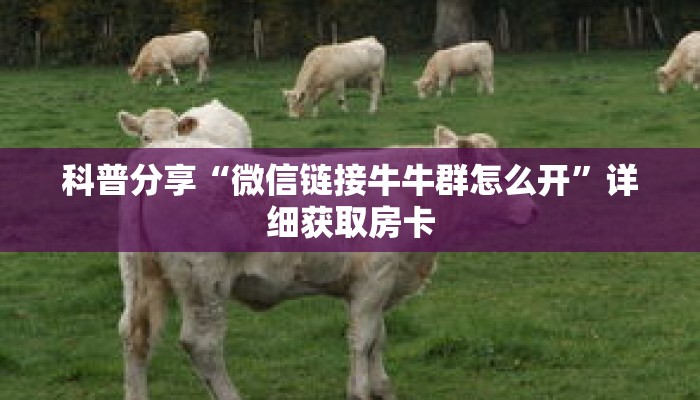 科普分享“黑鹰众玩房卡在哪里购买”详细获取房卡 科普分享“黑鹰众玩房卡在哪里购买”详细获取房卡