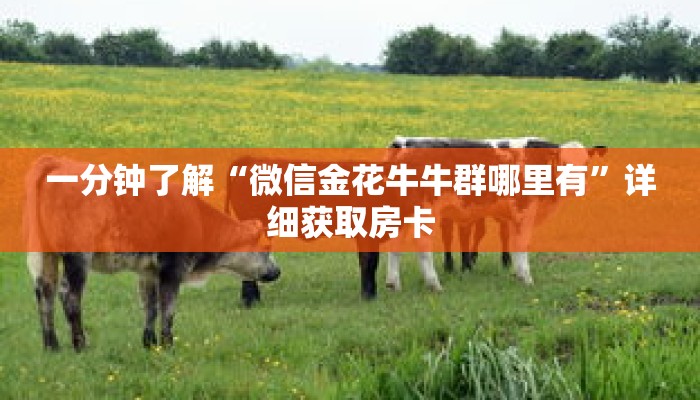 一分钟了解“微信金花牛牛群哪里有”详细获取房卡 一分钟了解“微信金花牛牛群哪里有”详细获取房卡