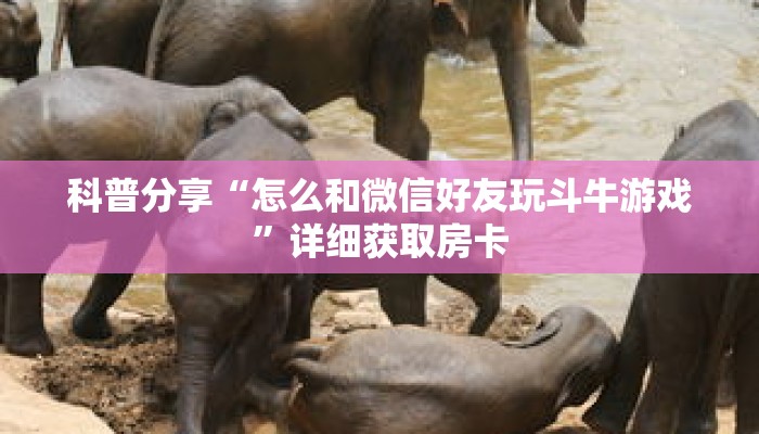 科普分享“拼三张金花房卡在哪里弄”详细获取房卡