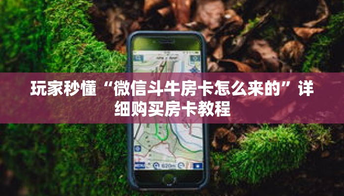 玩家秒懂“微信斗牛房卡怎么来的”详细购买房卡教程