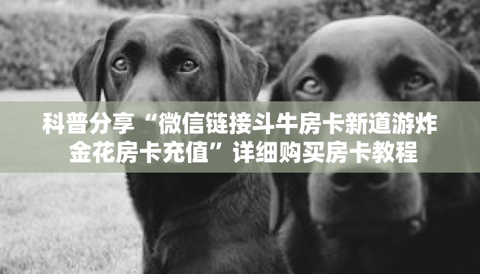 科普分享“微信链接斗牛房卡新道游炸 金花房卡充值”详细购买房卡教程