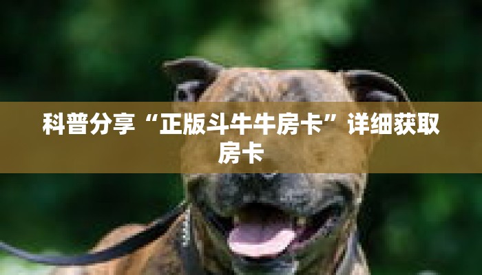 科普分享“正版斗牛牛房卡”详细获取房卡
